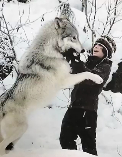 Keagan outside in the snow with a big wolf dog