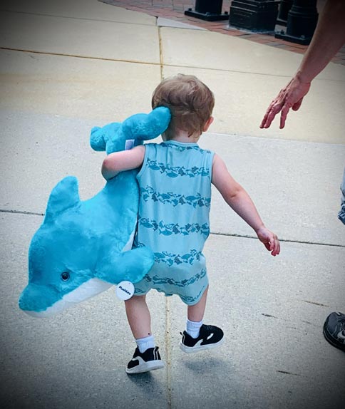 Jackson as a toddler walking with a stuffed dolphin toy